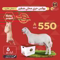 بوكس حري محلي صغير