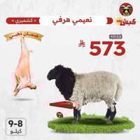 نعيمي كشميري هرفي