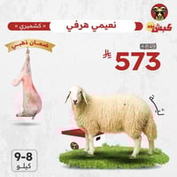 نعيمي كشميري هرفي (ليّة)