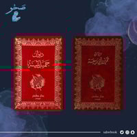 مجموعة دواوين شعراء العصر الأموي