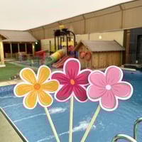 تغريسات الصيف