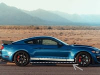 سمكه موستنق 15+ يمين