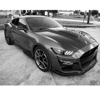 لحية صدام امامي شلبي 500