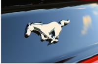 علامة خلفيه حصان 15+