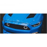 شبك RTR دائري موستنج 15-17