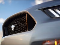 علامة خلفيه حصان 15+