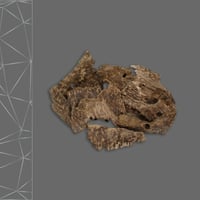 عود فيتنامي دبل سوبر