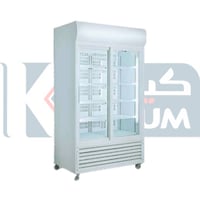 ثلاجة عرض دواجن بانكول 2 باب زجاج سحاب موديل - BC-...