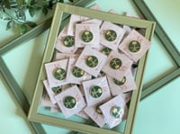 بروش مغناطيس السيفين والنخلة