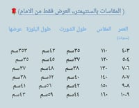 طقم ولادي أنيق من قطعتين