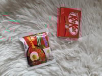 مغناطيس ثلاجة