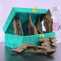 العود الأزرق