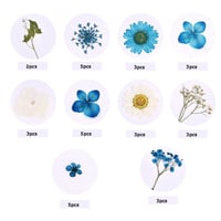 ورد مجفف مجموعة رقم 7