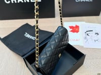 شنطة نسائية CT3