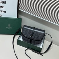 حقيبة يد باوتش لوي فيتون