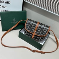 حقيبة يد باوتش لوي فيتون