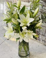 فازة الكازابلانكا