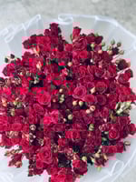 باقة بيبي جوري أحمر