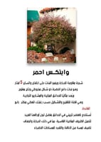 وايتكس أحمر