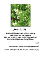 ملكة النهار