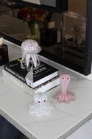 قنديل البحر - زهري