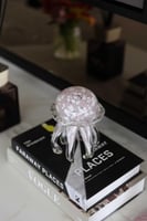 قنديل البحر - زهري