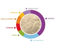 اكل غر baby patee