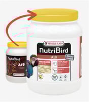 اكل غر nutibierd a19