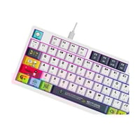 نكست ليفل كيبورد ميكانيكي MKB96B