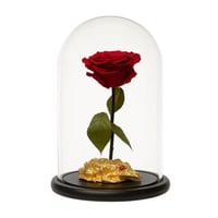 ورد دائم - انجل 14 سوبر سوبريم