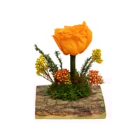 ورد دائم - في جذع شجرة