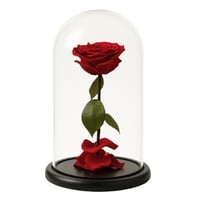 ورد دائم - انجل 13