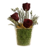 ورد دائم - بتنسيق برلنت