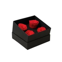 ورد دائم - بوكس إلوبا مربع