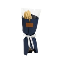 ورد دائم - بروتيا