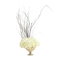 ورد طبيعي - هيدرنجا سايلكس