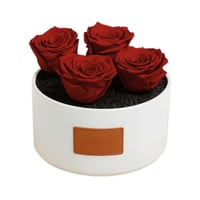 ورد دائم - بتنسيق رواحة