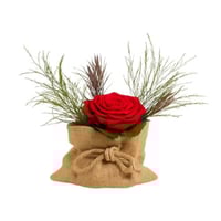 ورد دائم - خيشة كبيره