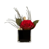 ورد دائم - بتنسييق لوسيندا