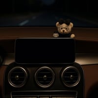 زينة تنفع عدة أماكن في السيارة جميلة وانيقة