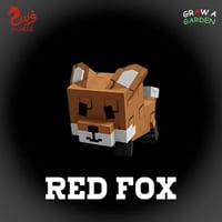 red fox | الثعلب الأحمر