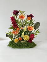 طولي مشتت 052