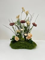 طولي مشتت 046