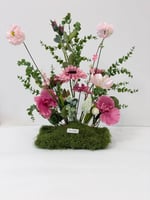 طولي مشتت 062