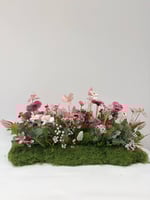 مستطيل مشتت 015