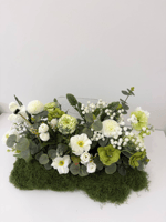 مستطيل مشتت 018