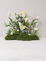 طولي مشتت 067