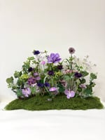 طولي مشتت 063