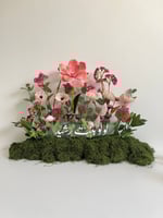 طولي مشتت 006