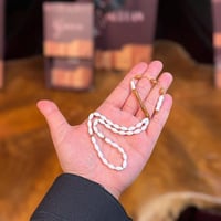 مسباح عظم جمل و كوك - تمليكه